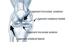 1 stadiu de artroză a genunchiului