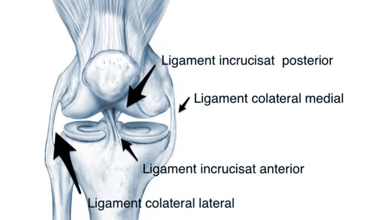 ligamentul colateral lateral al tratamentului articulației genunchiului diagnosticul diferențial al durerii articulare